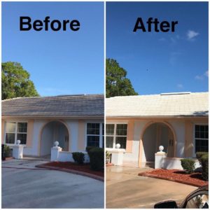 Palmharbor FL Pressure Washing 1