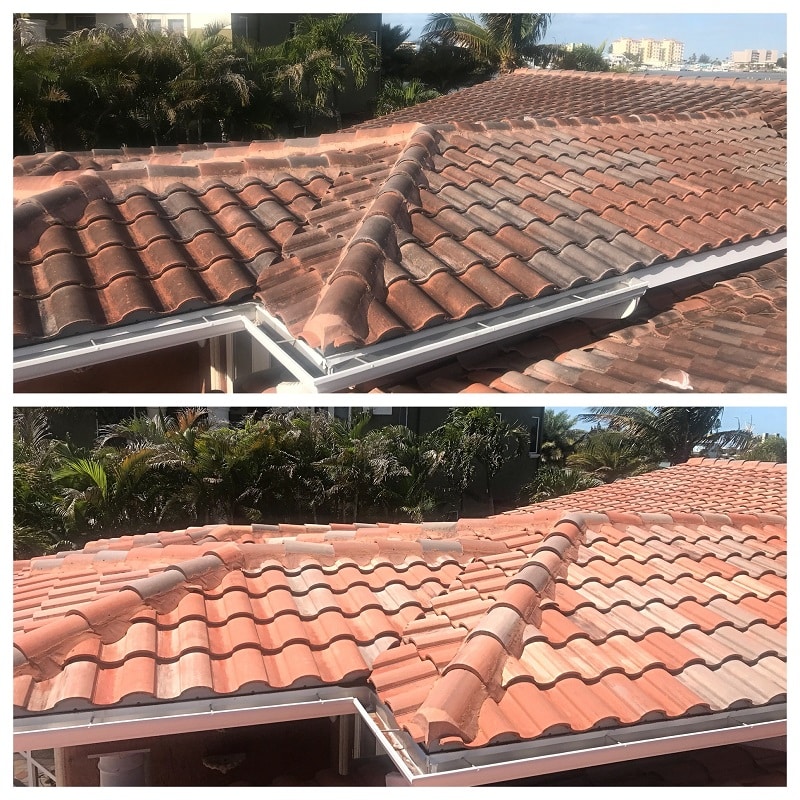 low pressure roof cleaning palm harbor