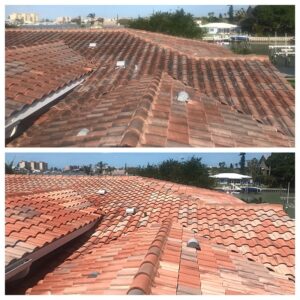 low pressure roof cleaning st petersburg fl (1)