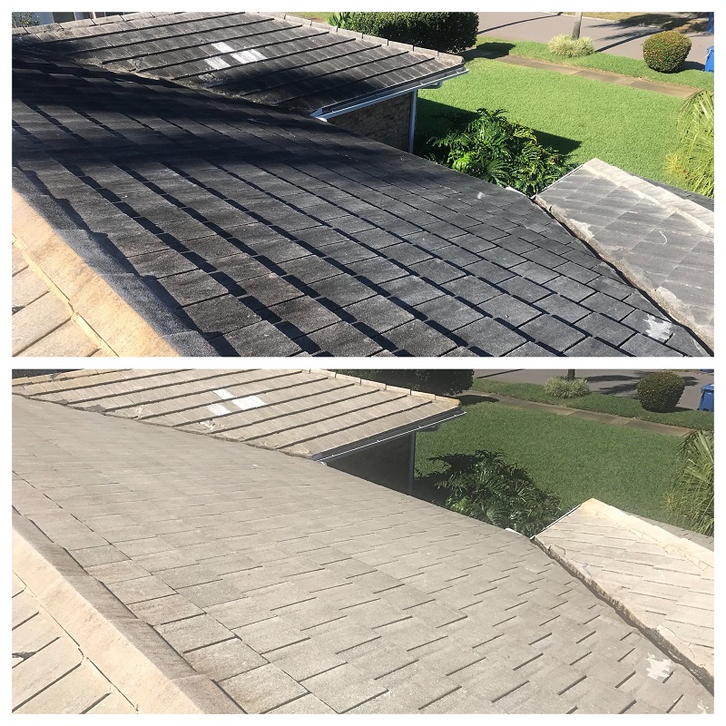 Roof Cleaning Service Saint Petersburg FL